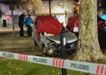Villa Luro: una mujer murió tras chocar su auto contra un árbol