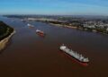 El sorgo recupera protagonismo por la demanda de China y renueva expectativas comerciales