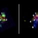 Científicos lograron observar cómo se fusionaron las galaxias más masivas del Universo