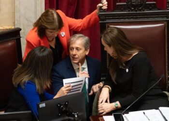 Con apoyo del PJ y dialoguistas, el Senado aprobó el pliego de Michelli, resistido por Milei