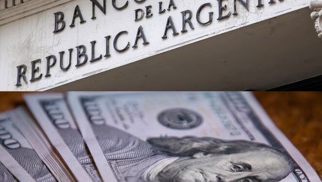 El Banco Central publicó el cambio de normas para habilitar créditos en dólares