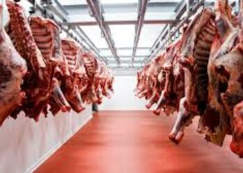 Cayó el consumo de carne y no llega a los 50 kilos per cápita por año
