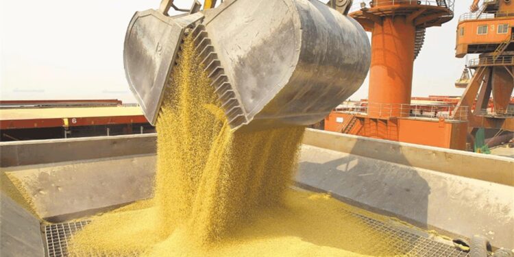 La agroindustria exportó casi USD 27.000 millones en el primer semestre