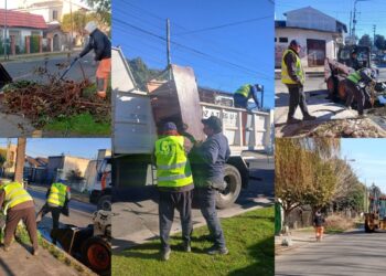 Más operativos de limpieza integral en Berazategui