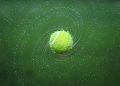 Gran jornada para los argentinos en el ATP 250 de Kitzbühel: triunfos de Etcheverry, Báez y Navone