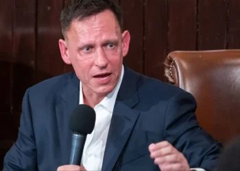 Diputados opositores y expertos debaten las motivaciones detrás de la presencia de Thiel en el país