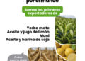Más de la mitad de las exportaciones argentinas son del agro: el girasol y la yerba las sorpresas