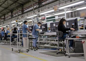 Crecimiento sin empleo: 8 de los 10 sectores de mayor expansión en la era Milei perdieron puestos laborales
