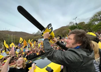 Uno por uno, los sectores que más sufrieron el recorte del gasto público de Milei