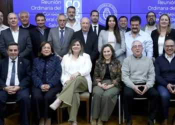 Nación y las provincias trabajarán en un Plan Nacional de Salud Mental y Consumos Problemáticos