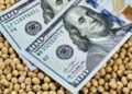 La actividad de la cadena agropecuaria creció 12% interanual en julio