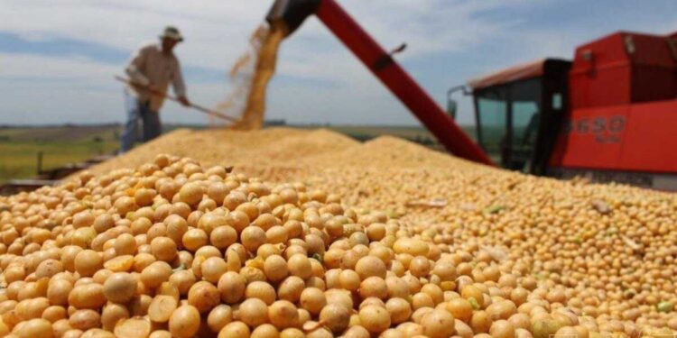 Grupo Elementa compra activos de Molinos en Rosario e invertirá US$ 100 millones
