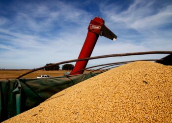 El agro proyecta exportaciones en el mayor nivel de la historia al totalizar US$42.200 millones