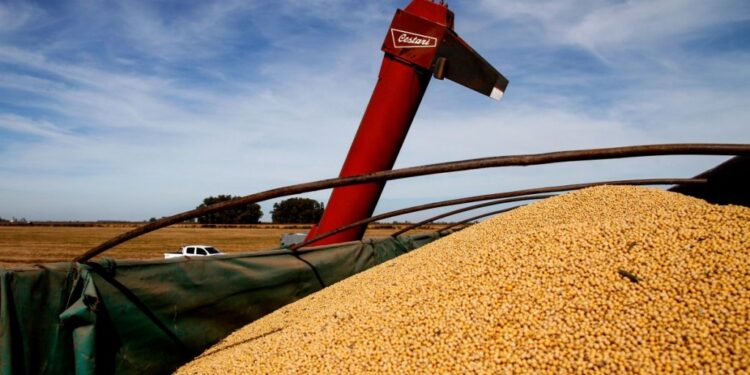 El agro proyecta exportaciones en el mayor nivel de la historia al totalizar US$42.200 millones