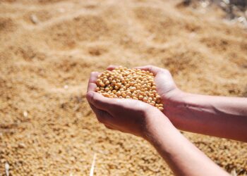 Acuerdo Mercosur-Unión Europea: Una gran oportunidad para el agro, con letra chica