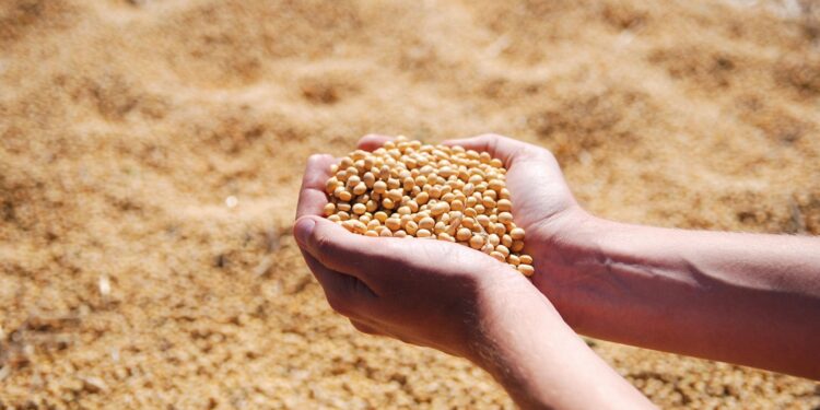 Acuerdo Mercosur-Unión Europea: Una gran oportunidad para el agro, con letra chica