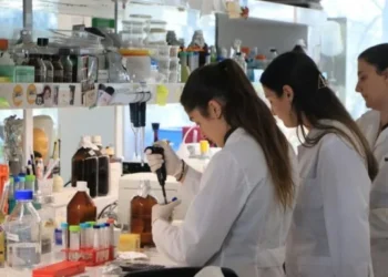 Lanzan convocatoria para profesionales de hospitales bonaerenses