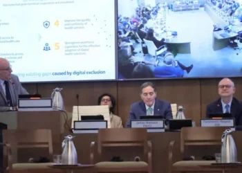 Avance hacia la interoperabilidad de la información clínica entre países de las Américas