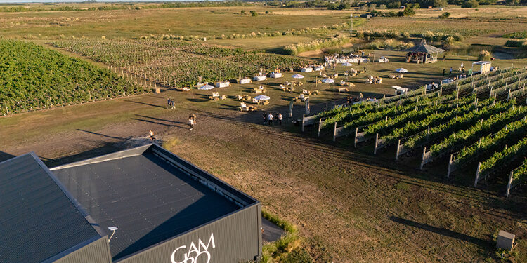 Bodega Gamboa Atlántica