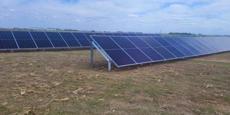 Energía solar para regar: una alternativa para campos sin acceso a la red eléctrica